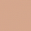 Art Scenic Professional Stick Concealer